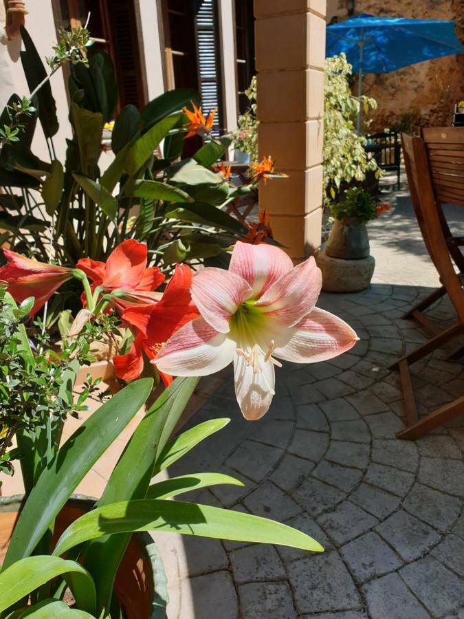 Hotel Segles - Turismo De Interior Campos  Zewnętrze zdjęcie